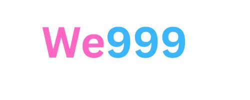 we999 logo